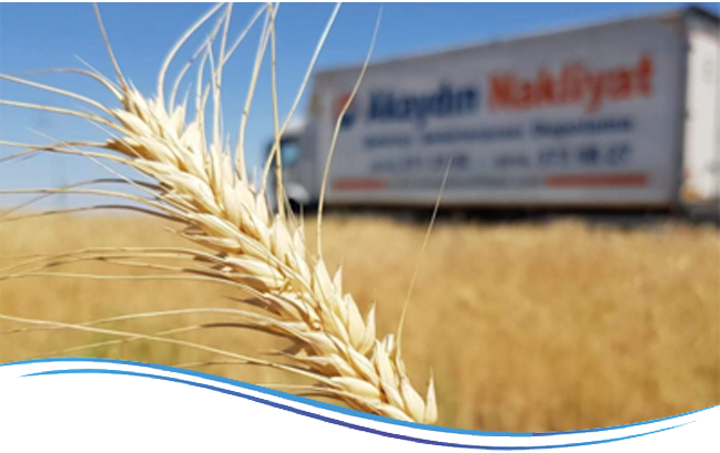 Parça Eşya Taşıma 